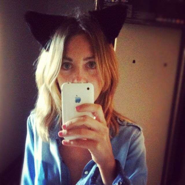 real cat ears