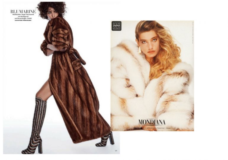 Fur : Your Definitive Guide to the Furs World and Fashion